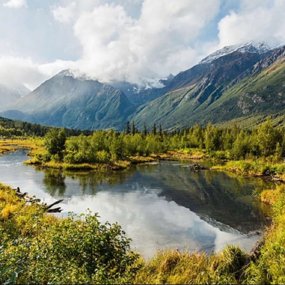 Meet your Posher, Leah